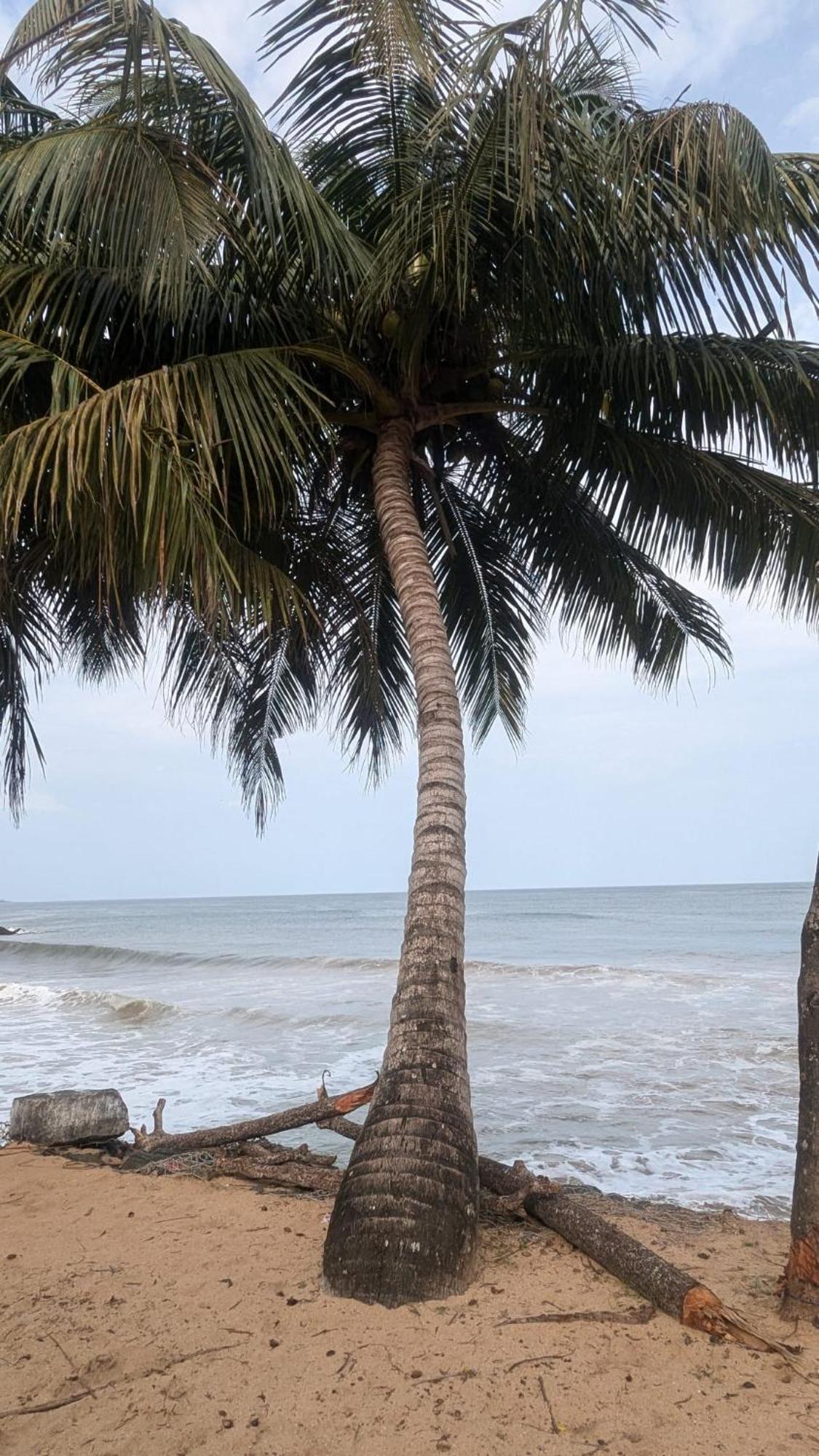 Chandi Gaya Beach Guesthouse Tangalle Extérieur photo