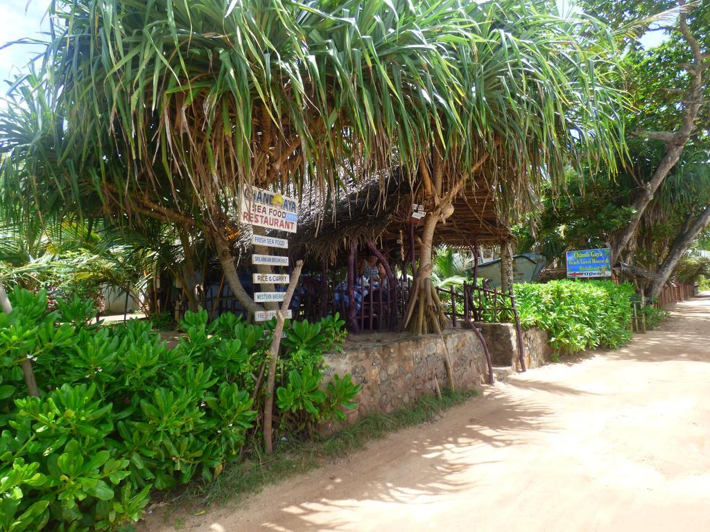 Chandi Gaya Beach Guesthouse Tangalle Extérieur photo